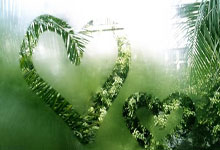 金年会体育-包含拳击夜战：燕赵天虎队翻盘蓬莱霹雳队，临门一脚致胜球迷期待下一战的词条